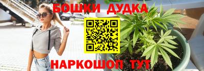 mdpv Заводоуковск