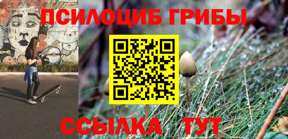 Галлюциногенные грибы MAGIC MUSHROOMS  Галлюциногенные грибы Psilocybine cubensis  цена наркотик  Вход с VPN  Лабинск 